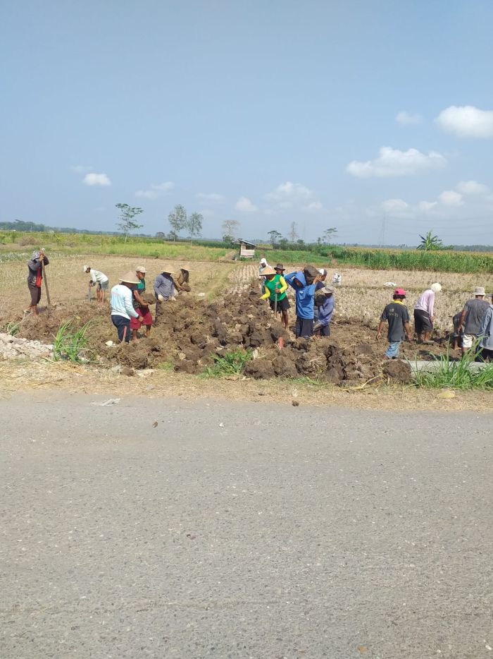 KEGIATAN PADAT KARYA TUNAI (PKT) DESA BANJURPASAR BANGUN JALAN SAWAH 02